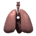 lungs_alone_breathing_tw.gif