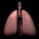lungs_alone_breathing_tb.gif
