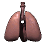 lungs_alone_breathing_mc.gif