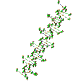 dnastrand_rotating_sw.gif