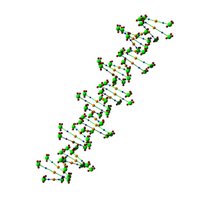 dnastrand_rotating_hr.jpg