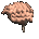 cartoon_brain_floatin_a_tc.gif