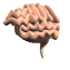 cartoon_brain_floatin_a_sw.gif
