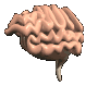 cartoon_brain_floatin_a_mc.gif