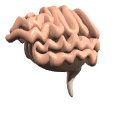 cartoon_brain_floatin_a_lw.gif