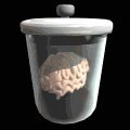 cartoon_brain_floatib_mb.gif