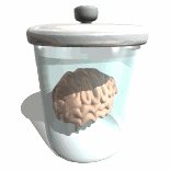 cartoon_brain_floatib_lw.gif