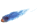 comet_sw.gif
