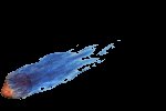 comet_lc.gif