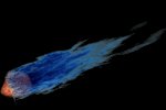 comet_lb.gif