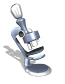 microscope_focusing_lw.gif