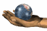 earth_palm_sw.gif