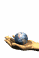 earth_catch_sw.gif