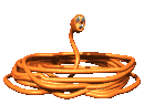 electric_snake_lc.gif