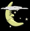 moon_star_tb.gif