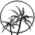 moon_palms_sw.gif