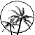 moon_palms_sc.gif