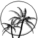 moon_palms_mw.gif