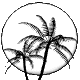 moon_palms_mc.gif