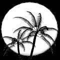 moon_palms_lc.gif