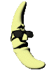 cool_moon_lc.gif