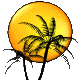 sun_palms_mc.gif