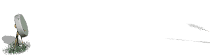 bullseye_divider_sw.gif