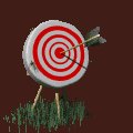 arrow_bullseye_mc.gif