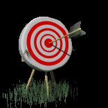arrow_bullseye_lc.gif
