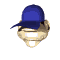 coach_sw.gif