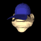 coach_sb.gif