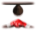 speed_bag_lw.gif