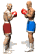 boxers_fight_sw.gif