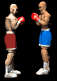 boxers_fight_sb.gif