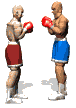 boxers_fight_mw.gif