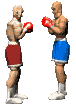 boxers_fight_mc.gif