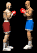 boxers_fight_mb.gif
