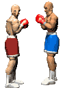 boxers_fight_lc.gif