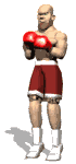 boxer_shuffle_lw.gif