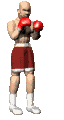 boxer_jabber_mc.gif