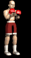 boxer_jabber_mb.gif