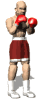 boxer_jabber_lw.gif
