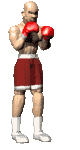 boxer_jabber_lc.gif