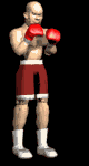 boxer_jabber_lb.gif