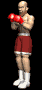 boxer_hook_sb.gif