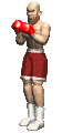 boxer_hook_mc.gif
