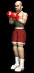 boxer_hook_lb.gif