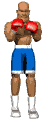 boxer_1_2punch_mw.gif