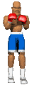 boxer_1_2punch_mc.gif