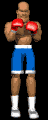 boxer_1_2punch_mb.gif